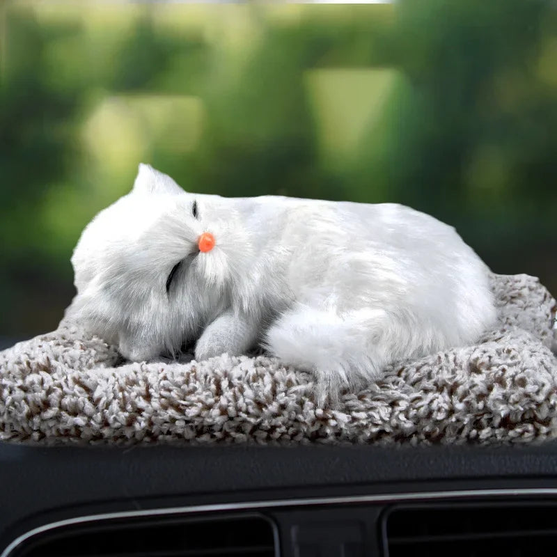 S107ccff7591041afa42cce7a9f9a4094F