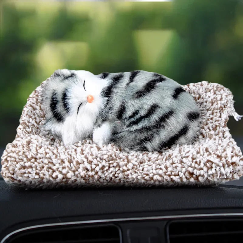 S82c423d007124cc681cd2b126b467bf7o