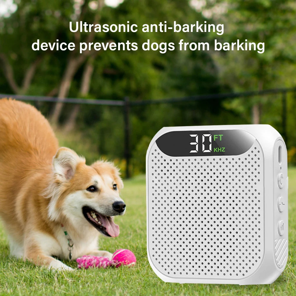 Sd618a386561e4bd79343371d52e34aed1